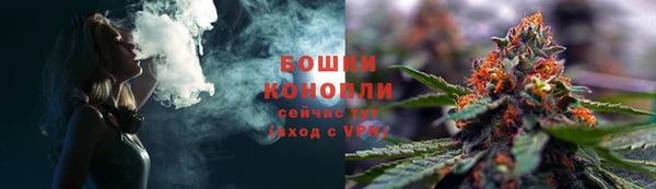 ГАЛЛЮЦИНОГЕННЫЕ ГРИБЫ Балахна
