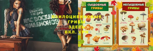 ГАЛЛЮЦИНОГЕННЫЕ ГРИБЫ Балахна
