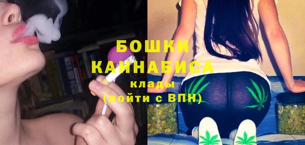 ГАЛЛЮЦИНОГЕННЫЕ ГРИБЫ Балахна
