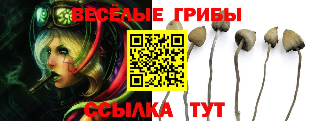 Галлюциногенные грибы прущие грибы Бор